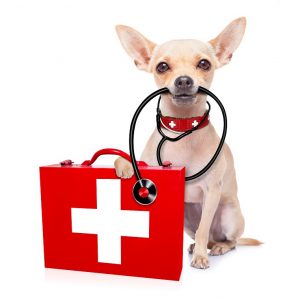 veterinarijos vaistine